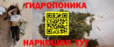 винт Партизанск