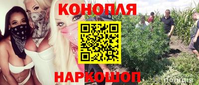 винт Партизанск