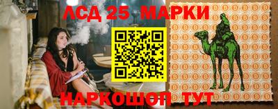 винт Партизанск