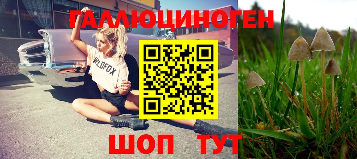 Советская Гавань  Псилоцибиновые грибы Magic Shrooms  Вход с VPN 